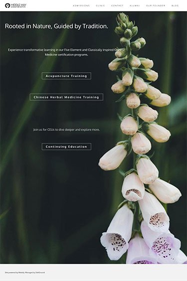 Original MWAI homepage showing outdated design, poor hierarchy, and usability barriers